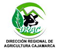 Convocatoria DIRECCIÓN DE AGRICULTURA CAJAMARCA