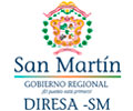 Convocatoria DIRECCIÓN REGIONAL DE SALUD SAN MARTÍN