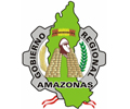 Convocatorias GOBIERNO REGIONAL DE AMAZONAS