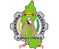 Convocatorias GOBIERNO REGIONAL AMAZONAS