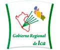  Convocatoria GOBIERNO REGIONAL DE ICA