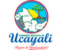  Convocatoria GOBIERNO REGIONAL DE UCAYALI