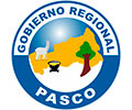 Convocatoria GOBIERNO REGIONAL PASCO