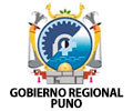  Convocatoria GOBIERNO REGIONAL PUNO