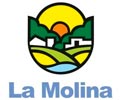 Convocatoria MUNICIPALIDAD LA MOLINA