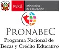 Convocatorias PRONABEC