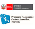 Convocatoria PROGRAMA NACIONAL DE CENTROS JUVENILES PRONACEJ