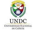 Convocatoria UNIVERSIDAD DE CAÑETE(UNDC)