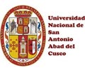  Convocatoria UNIVERSIDAD NACIONAL DE SAN ANTONIO ABAD DEL CUSCO