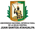  Convocatoria UNIVERSIDAD NACIONAL INTERCULTURAL DE LA SELVA CENTRAL JUAN SANTOS ATAHUALPA